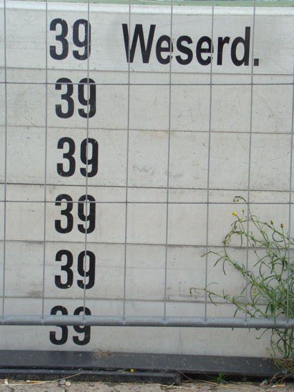 Weserimrentuzun11